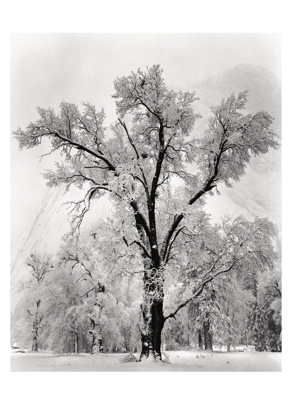 Ansel Adams Holiday Cards