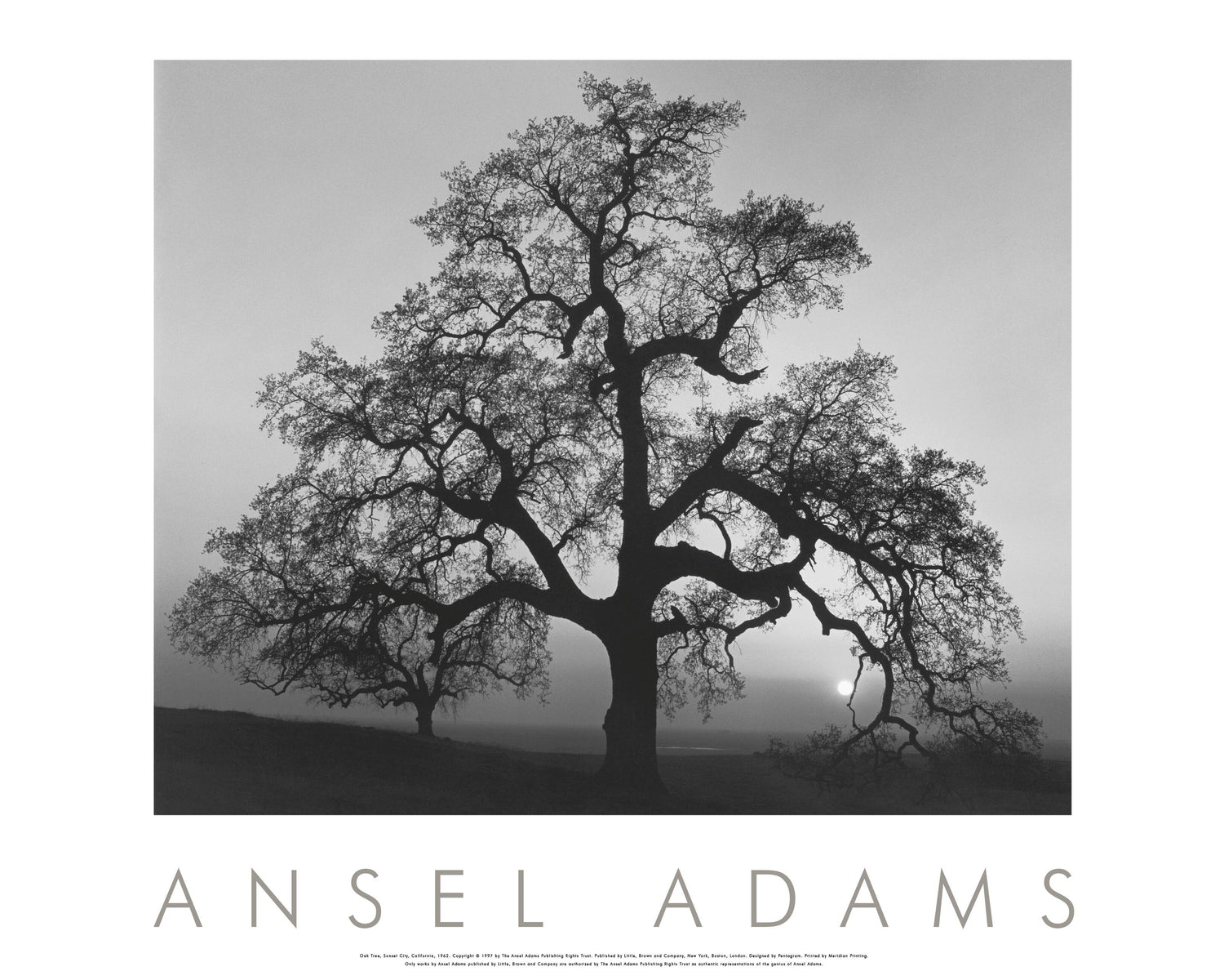 OAK TREE, SUNSET CITY - ANSEL ADAMS AUTHORIZED EDITION POSTER