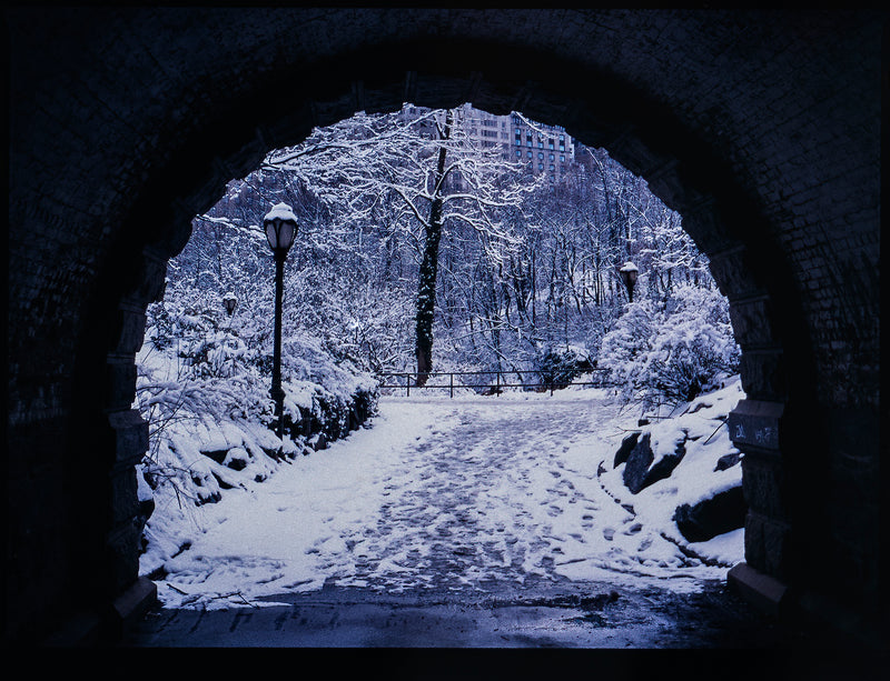 ARCH IN CENTRAL PARK - DERMOT CONLAN HOLIDAY CARD