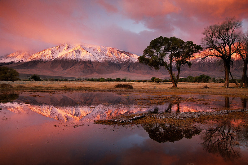 MOUNT TOM AT DAWN - STEPHEN INGRAM HOLIDAY CARD
