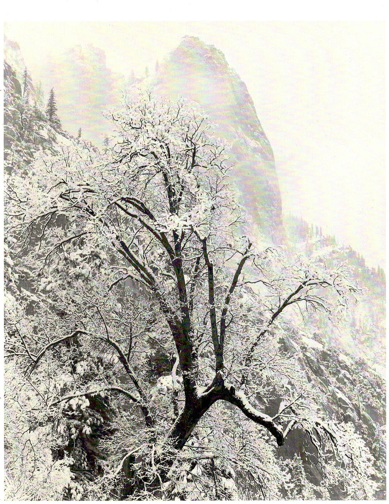 SENTINEL ROCK & SNOW - ANSEL ADAMS NOTECARD