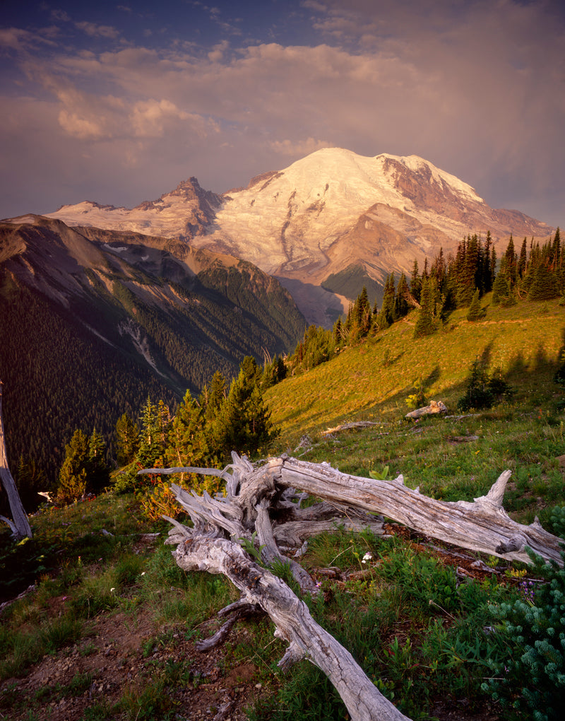 SUNRISE ON MT. RAINER - ALAN MAJCHROWICZ NOTE CARD