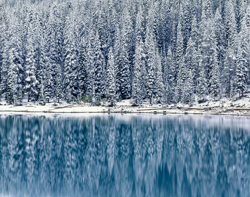AUTUMN SNOWFALL - ALAN MAJCHROWICZ NOTE CARD