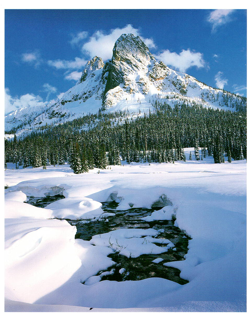 LIBERTY BELL MOUNTAIN - ALAN MAJCHROWICZ HOLIDAY CARD