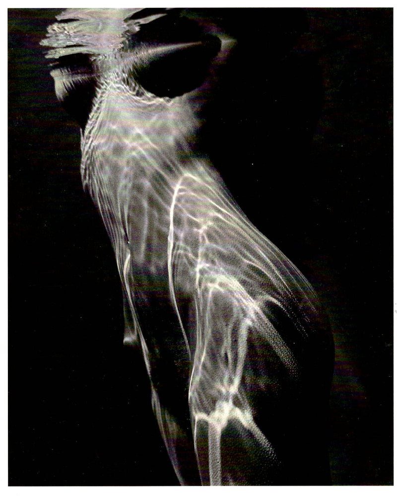 UNDERWATER NUDE - BRETT WESTON NOTE CARD