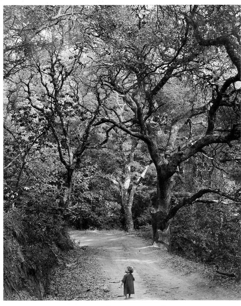 CHILD ON FOREST ROAD - WYNN BULLOCK NOTE CARD