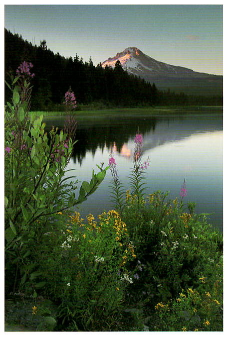 MT. HOOD - CHUCK MITCHELL NOTE CARD