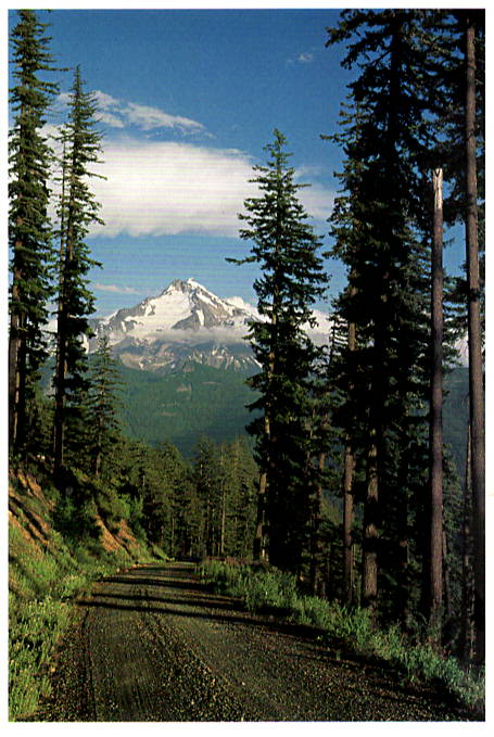 MT. JEFFERSON - CHUCK MITCHELL NOTE CARD