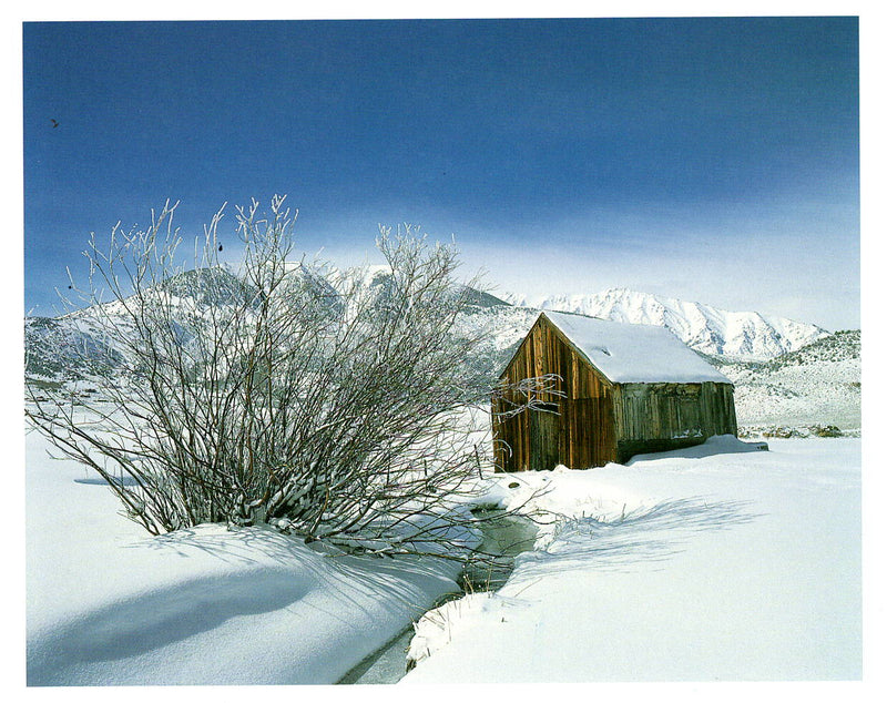 SHEEPHERDERS CABIN - LONDIE PADELSKY NOTE CARD