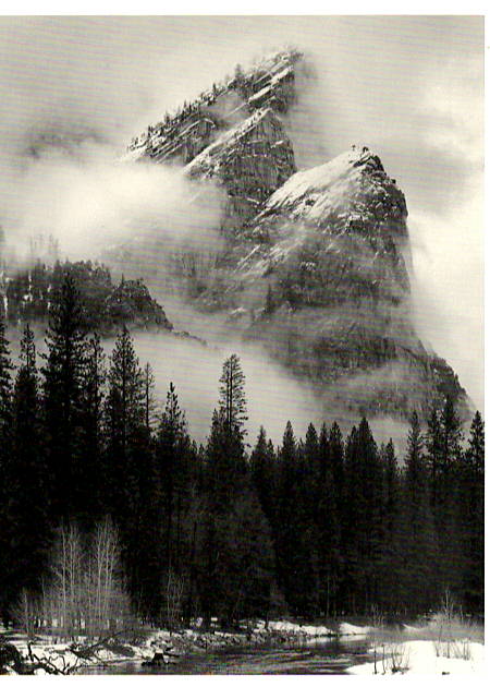 THREE BROTHER - JEFF NIXON HOLIDAY CARD