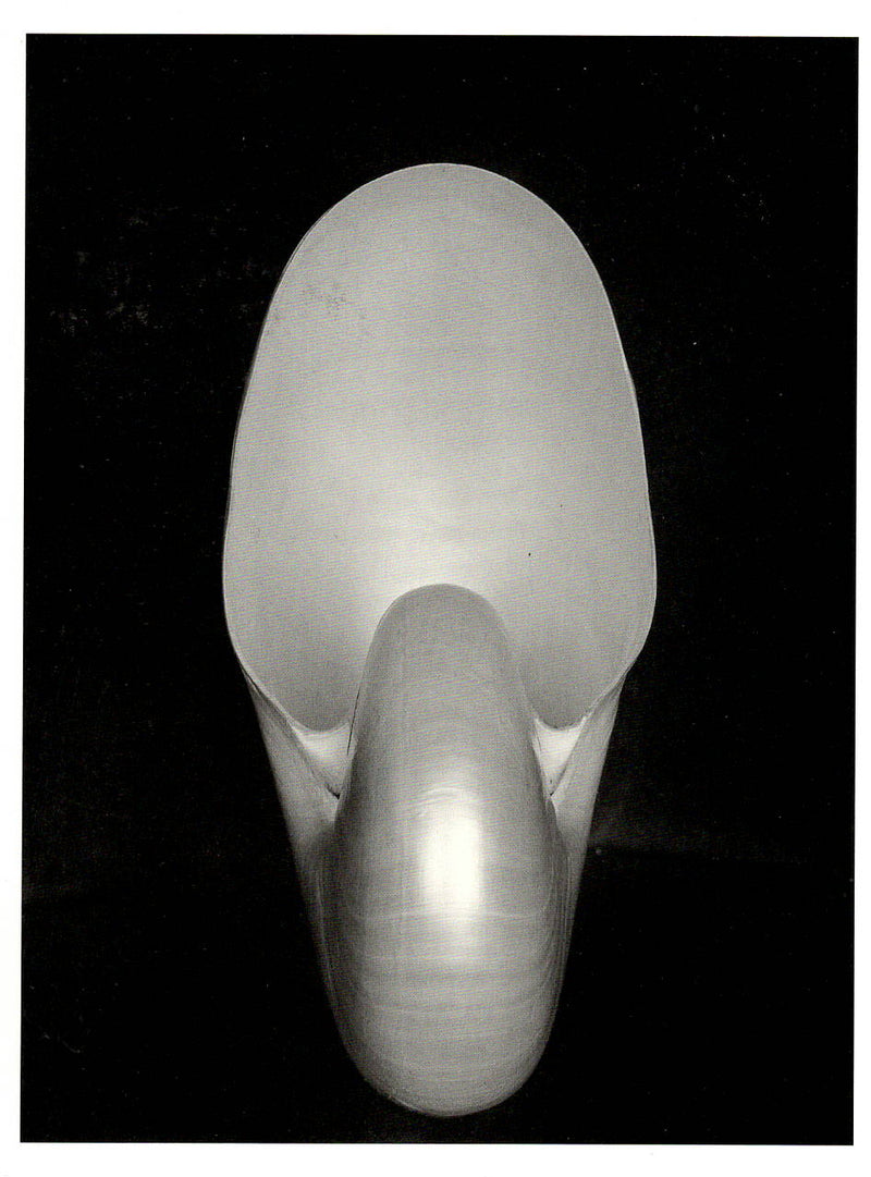 SHELL - EDWARD WESTON SMALL MATTED REPRODUCTION