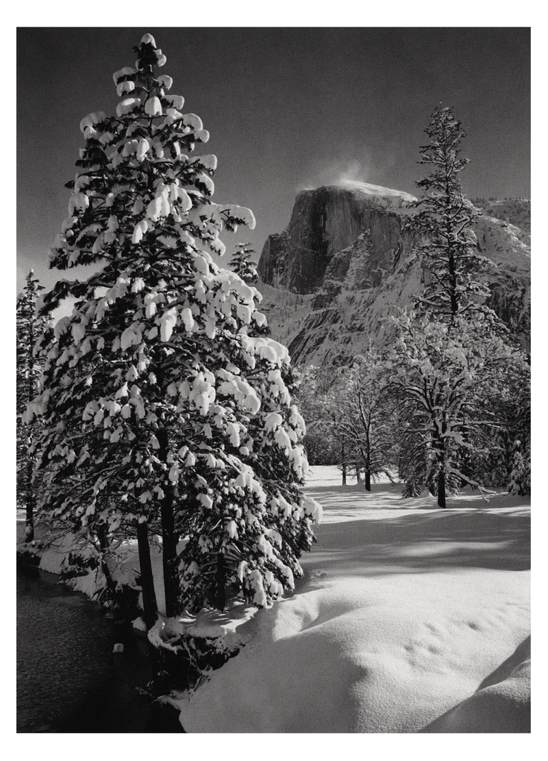HALF DOME, TREES, WINTER - ANSEL ADAMS HOLIDAY CARD