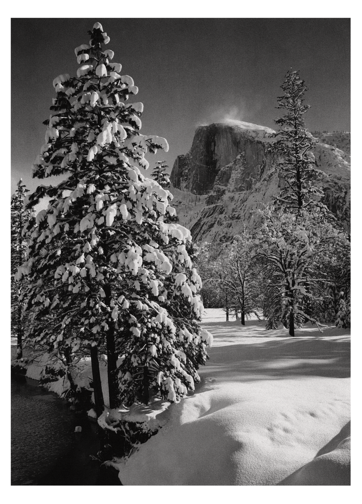 HALF DOME, TREE - ANSEL ADAMS SMALL MATTED REPRODUCTION