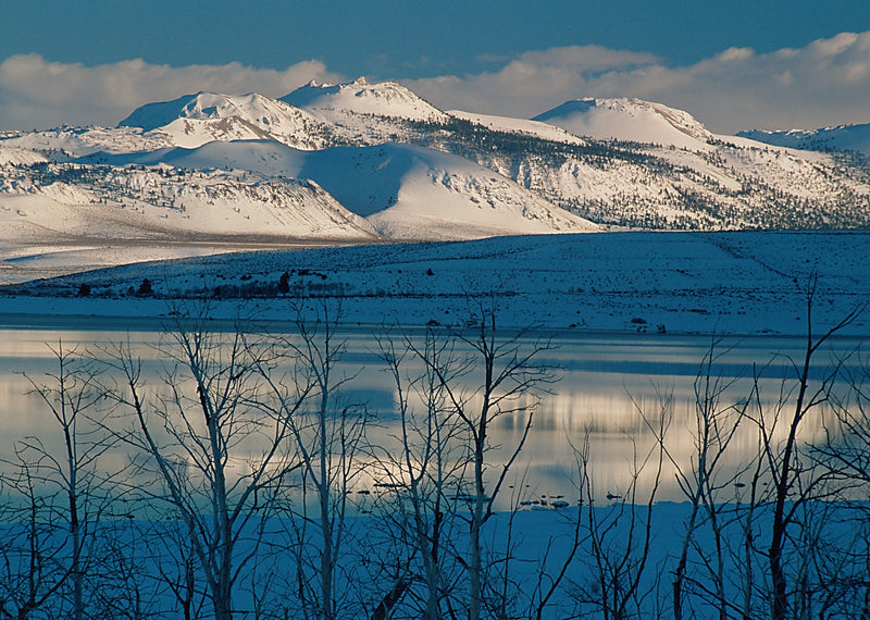 MONO CRATERS - STEPHEN INGRAM HOLIDAY CARD