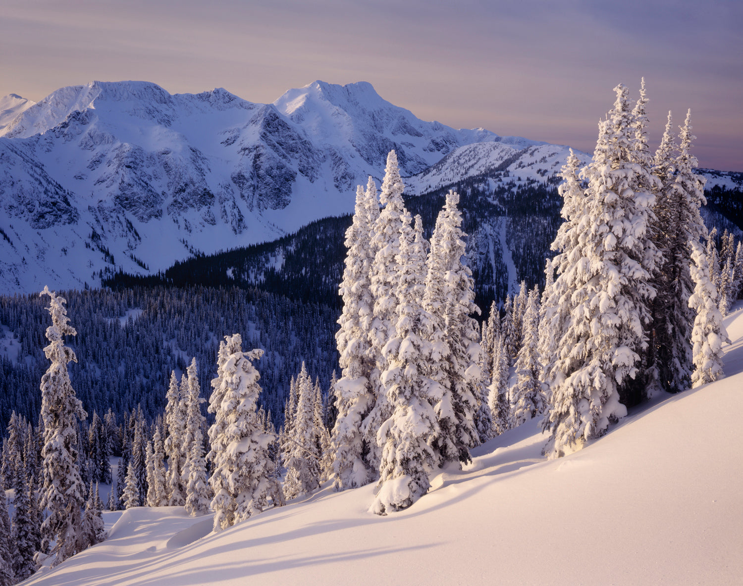 WINTER IN THE CARIBOO MOUNTAINS - ALAN MAJCHROWICZ HOLIDAY CARD