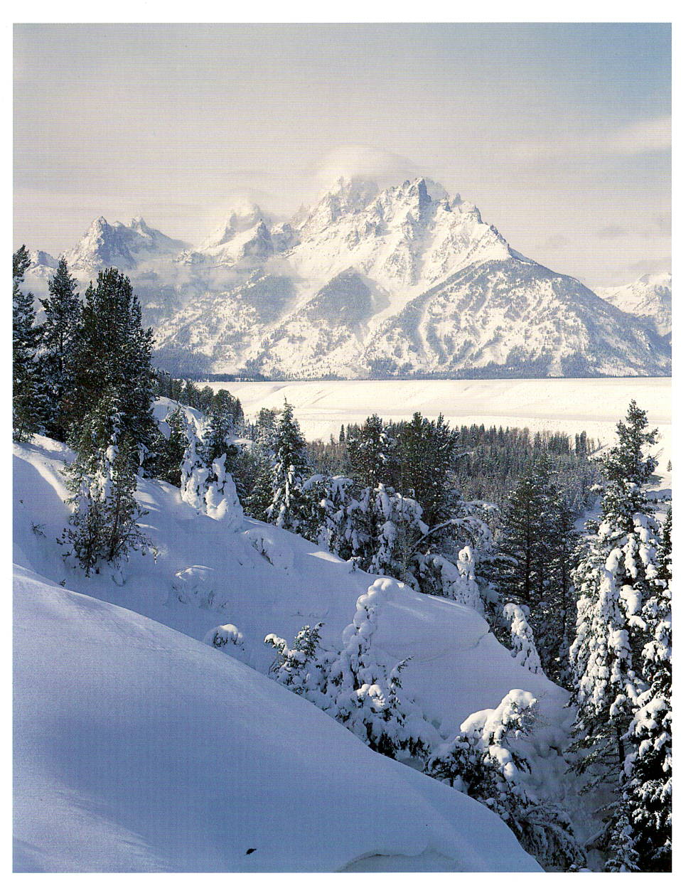 GRAND TETONS - ALAN MAJCHROWICZ NOTE CARD