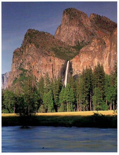 BRIDALVEIL FALL - BARBARA BRUNDEGE NOTE CARD