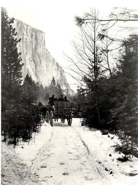 STAGECOACH IN YOSEMITE - H.C. TIBBITTS HOLIDAY CARD