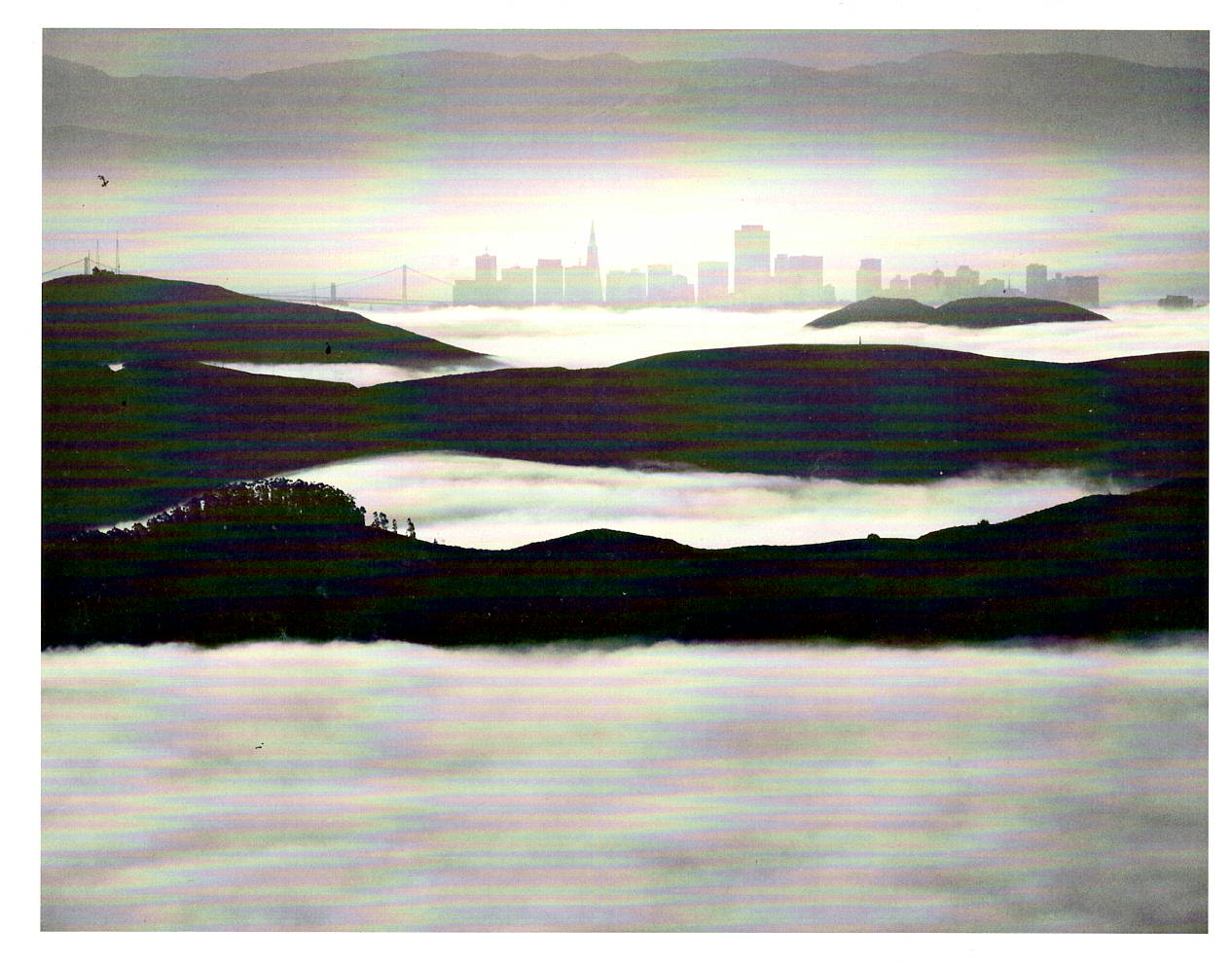 SAN FRANCISCO - JOHN WIMBERLEY NOTE CARD