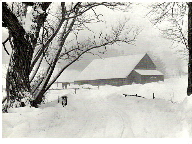 BARNYARD, BLIZZARD - MARION POST WOLCOTT HOLIDAY CARD