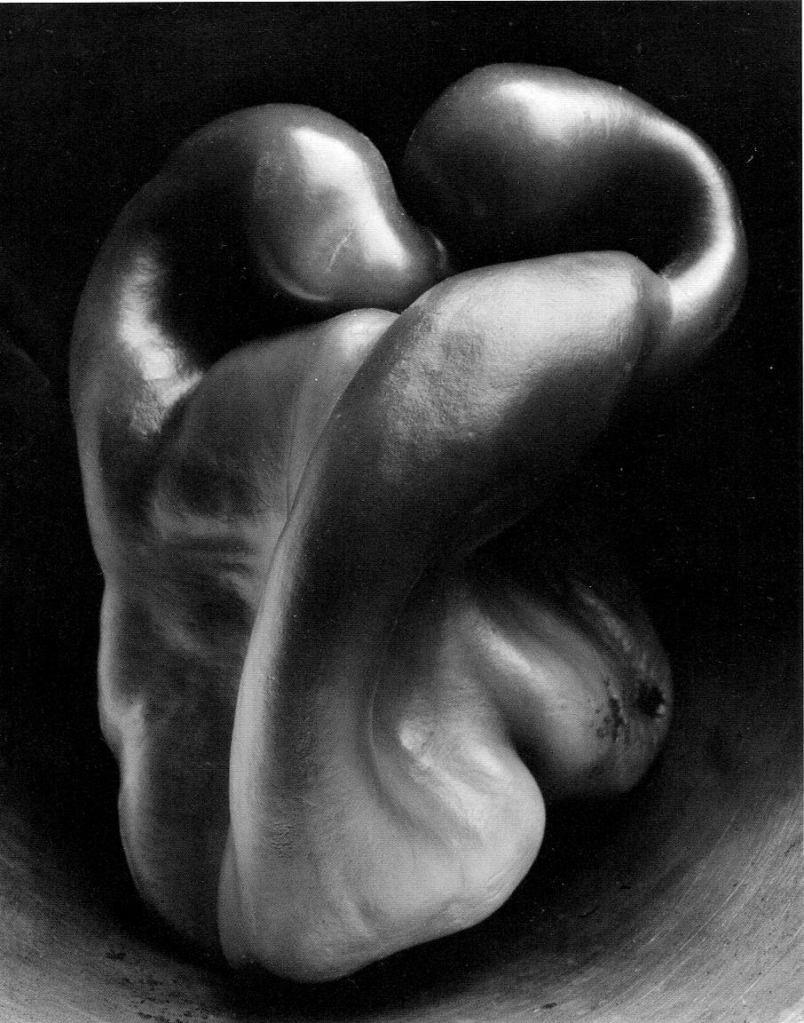 PEPPER - EDWARD WESTON SMALL MATTED REPRODUCTION