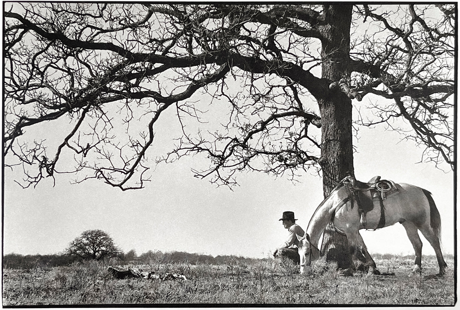 TREE, HORSE, COWBOY - J. PATRICK CUDAHY NOTE CARD